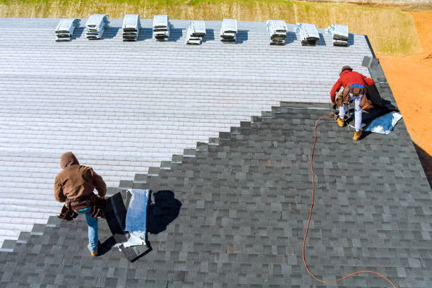 Roof Gutter Cleaning in Broadmoor, CA