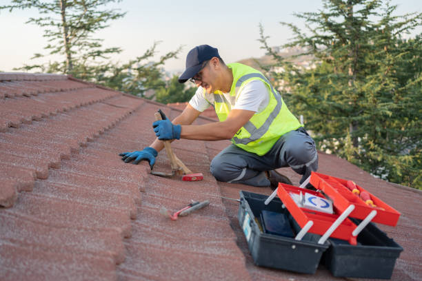 Best Roof Gutter Cleaning  in Broadmoor, CA